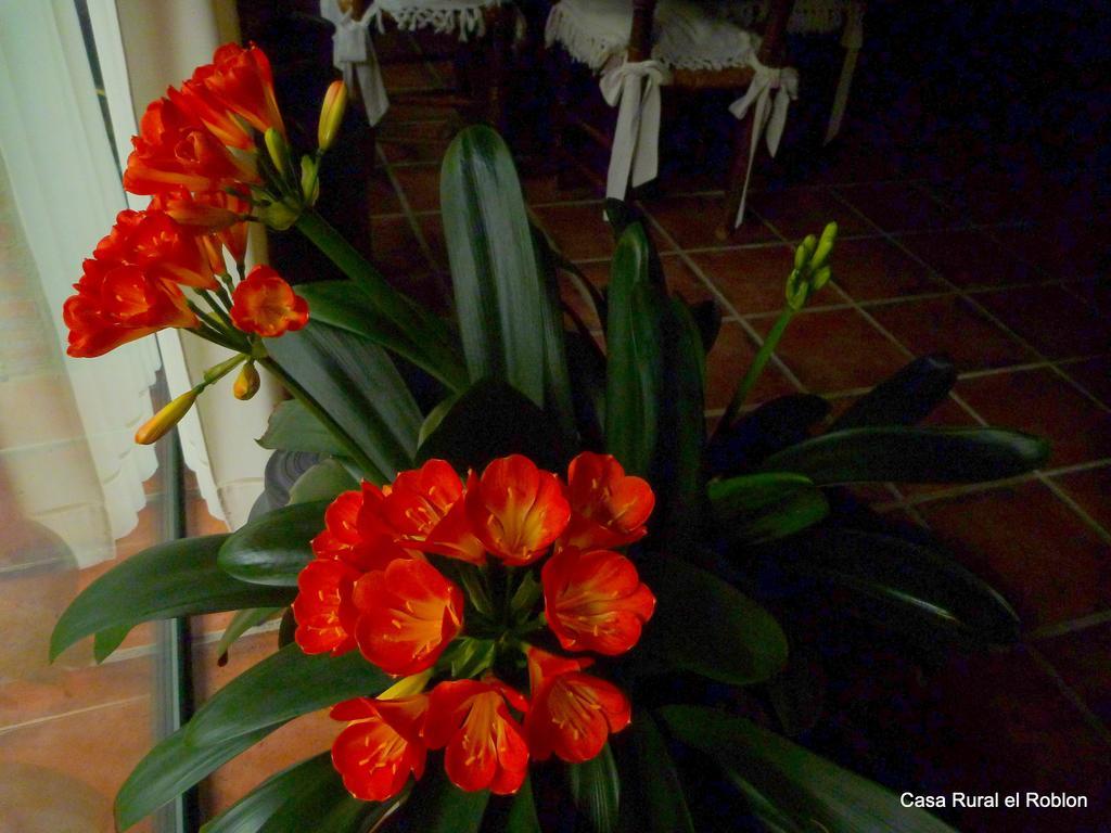 Casa Rural El Roblon Otel Sartajada Dış mekan fotoğraf