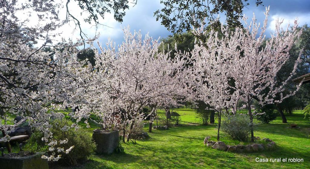 Casa Rural El Roblon Otel Sartajada Dış mekan fotoğraf