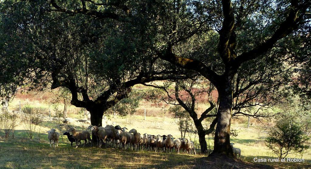 Casa Rural El Roblon Otel Sartajada Dış mekan fotoğraf