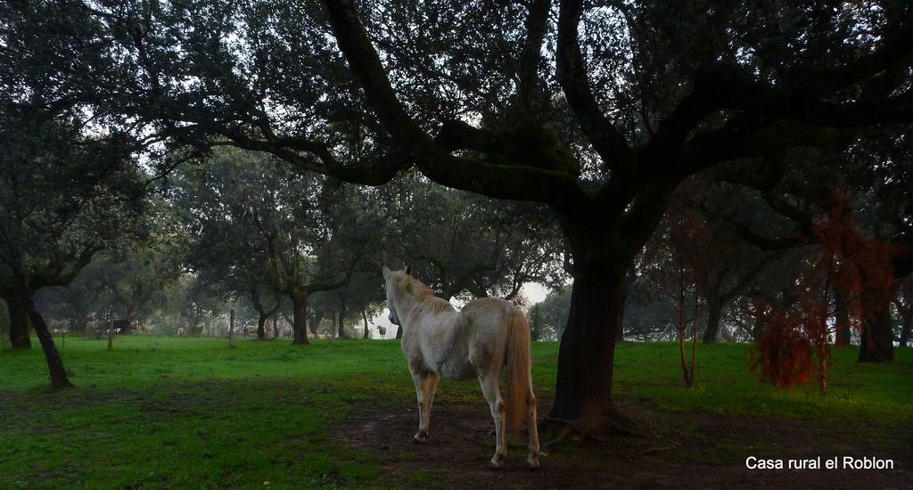 Casa Rural El Roblon Otel Sartajada Dış mekan fotoğraf