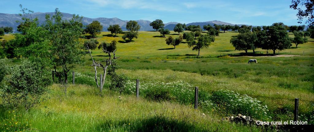 Casa Rural El Roblon Otel Sartajada Dış mekan fotoğraf